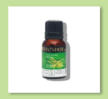 eucalyptus essential oil - soulflower