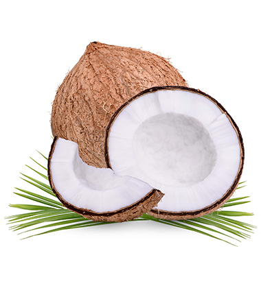 Coconut