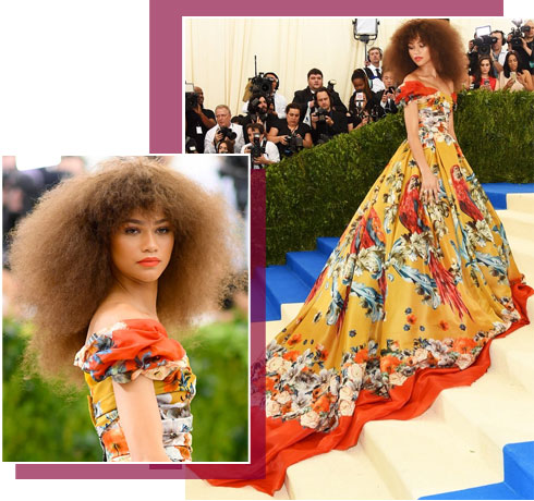 MET Gala ’17 : Fashion’s Biggest Night Out